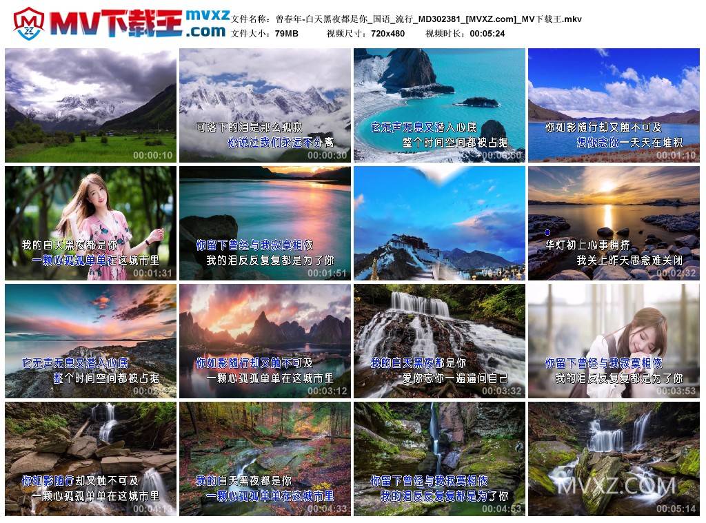曾春年-白天黑夜都是你_国语_流行_MD302381